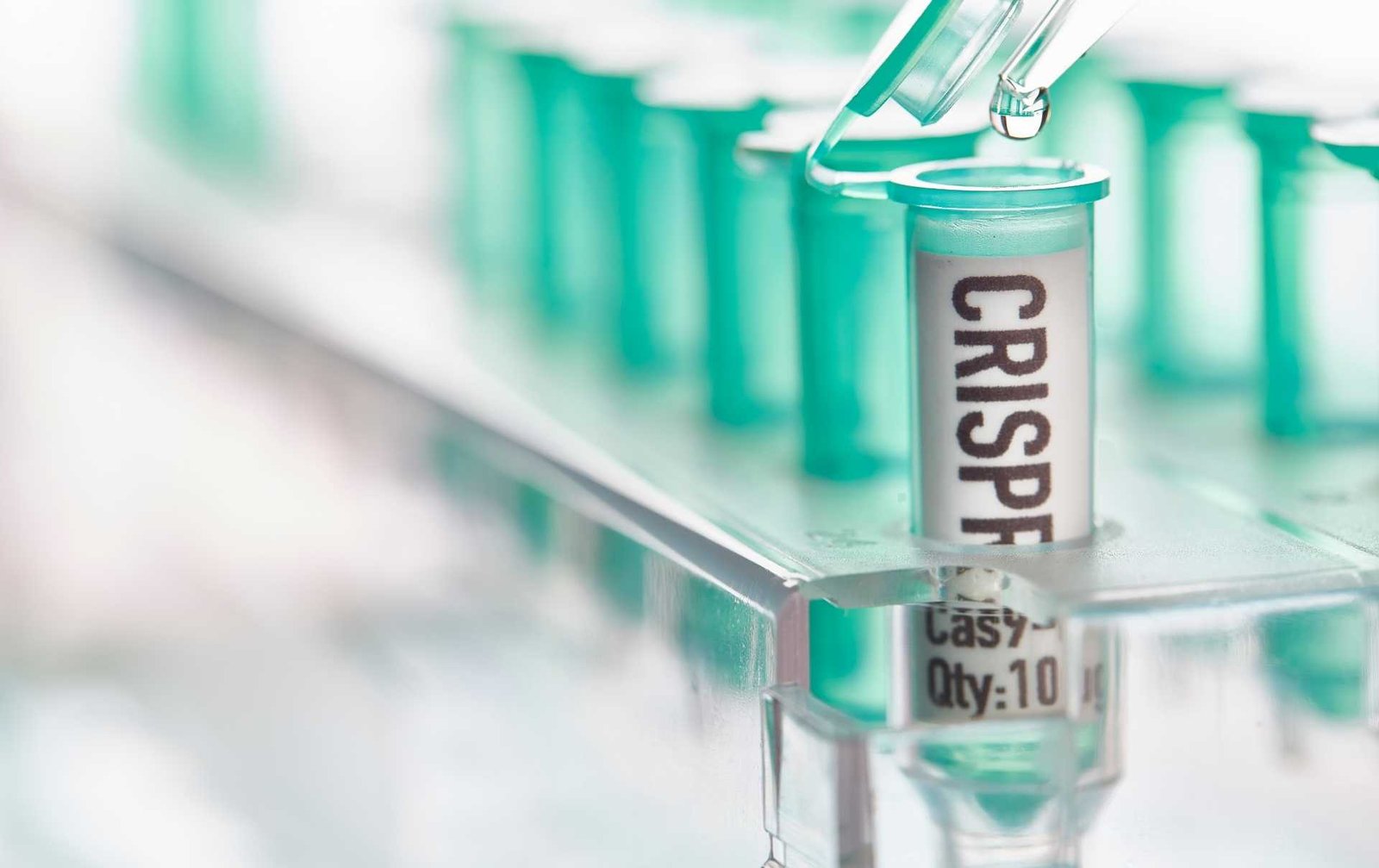 CRISPR/Cas9 génszerkesztés laboratoriumban