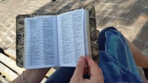 Jehova Tanúi 2020-ban 33 nyelven adtak ki Bibliát