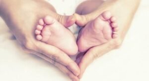 Alkoss kiváló képeket a kedvencedről könnyedén